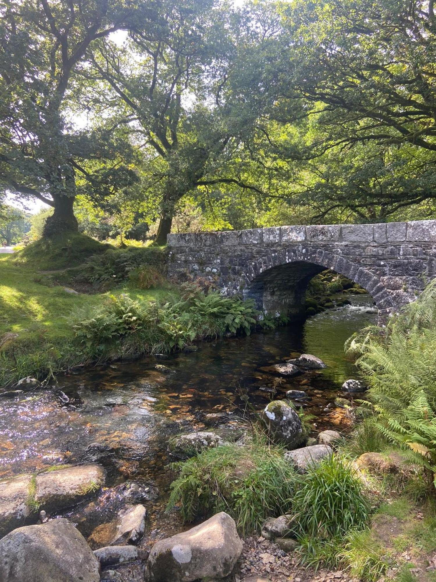 Maristow Cottages, Overlook Tamar Valley Dartmoor Plymouth Exterior foto